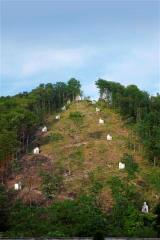 Trinajst božjepotnih kapelic